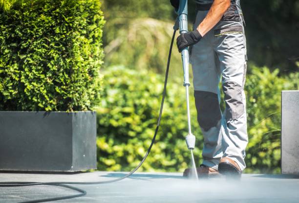 Best Driveway Pressure Washing  in Embreeville, TN
