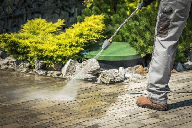 Best Boat and Dock Cleaning  in Embreeville, TN