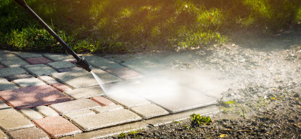 Best Fleet Vehicle Washing  in Embreeville, TN